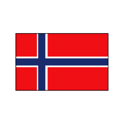 Nationalflagge Norwegen - 30 x 45cm