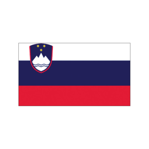 Nationalflagge Slowenien - 20 x 30cm