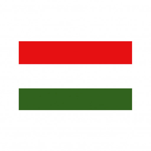 Nationalflagge Ungarn - 30 x 45cm